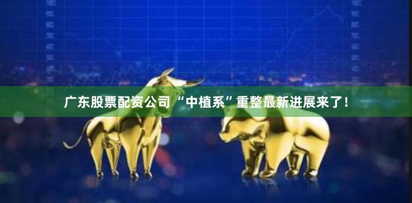 广东股票配资公司 “中植系”重整最新进展来了！