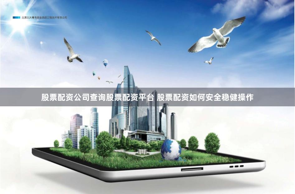 股票配资公司查询股票配资平台 股票配资如何安全稳健操作