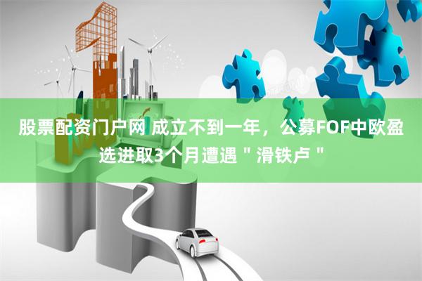 股票配资门户网 成立不到一年，公募FOF中欧盈选进取3个月遭遇＂滑铁卢＂
